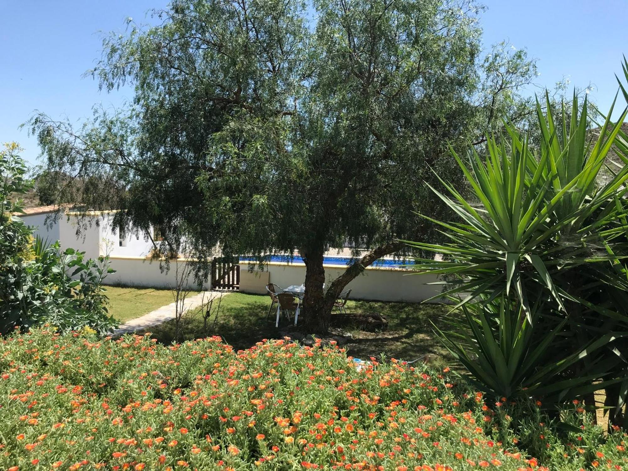 Apartmán Bella Vista Rural Retreat Arboleas Exteriér fotografie